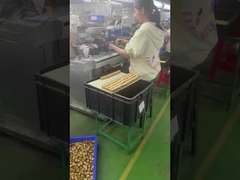 thiết kế đồ chơi 3d nhựa PVC vinyl tùy chỉnh nhà sản xuất đồ chơi nghệ thuật tùy chỉnh