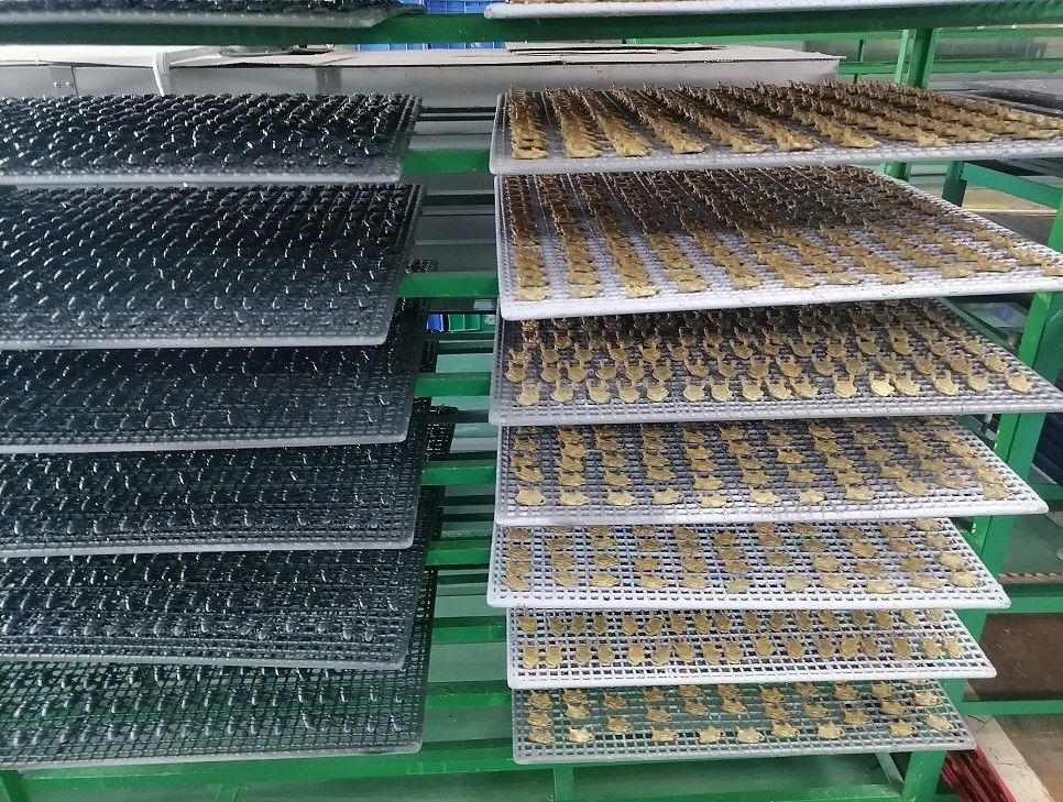 OEM nhà máy tùy chỉnh Lifelike Model mô hình mô phỏng côn trùng đồ chơi mẫu giáo giáo dục trợ giúp trò đùa đồ chơi