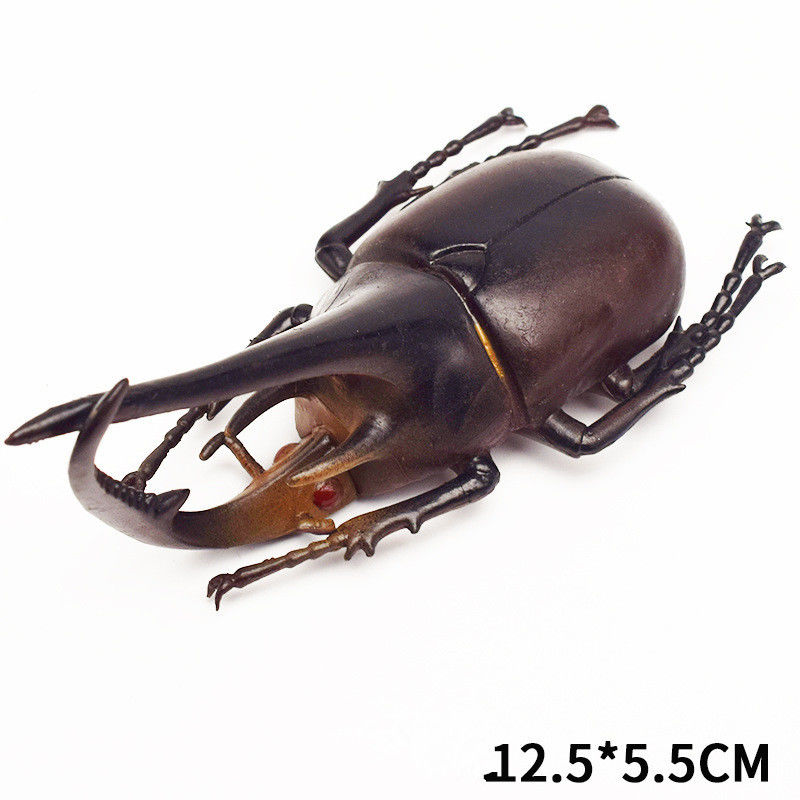 OEM nhà máy tùy chỉnh Lifelike Model mô hình mô phỏng côn trùng đồ chơi mẫu giáo giáo dục trợ giúp trò đùa đồ chơi
