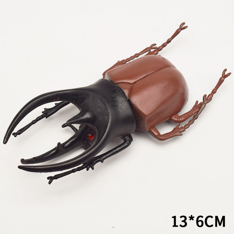 OEM nhà máy tùy chỉnh Lifelike Model mô hình mô phỏng côn trùng đồ chơi mẫu giáo giáo dục trợ giúp trò đùa đồ chơi
